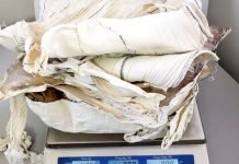 Passageiro é preso com mais de 4kg de cocaína no aeroporto de Porto Velho