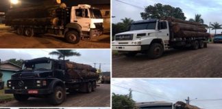 Polícia Ambiental apreende nove caminhões com madeiras irregulares na região de Chupinguaia