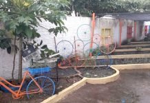 Prefeitura entregará mais uma horta sustentável em Porto Velho