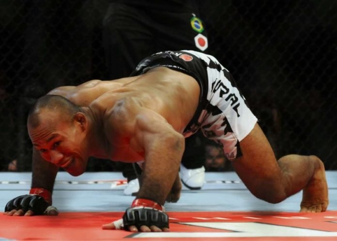 jacare-5609392