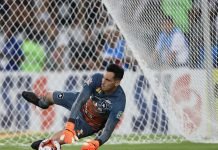 Botafogo anuncia que pedirá anulação do jogo contra Palmeiras