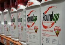 Monsanto é condenada a pagar 2 bilhões de dólares por herbicida Roundup