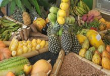 Prefeitura e governo estadual lançam Programa de Aquisição de Alimentos