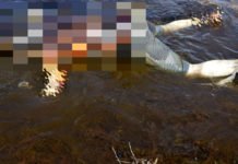 Corpo é encontrado boiando no rio Jatuarana a cerca de 25Km da capital