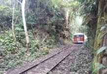Passeios de litorina começam neste domingo, 9, em Porto Velho; ingresso custa R$ 5