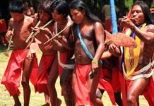 Índios denunciam invasão de garimpeiros e morte de cacique no Amapá