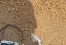 PRF prende homem com mais de 50 pedras de crack