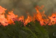 Queimadas em Rondônia sobem 190% em relação ao mesmo período de 2018