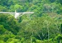 Piloto de Humaitá morre após colidir avião em árvore no interior de Góias