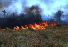 Após queimadas aumentarem 370%, Rondônia deflagra operação de combate a incêndios