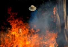 Governo suspende a prática de queimadas em todo o país por 60 dias