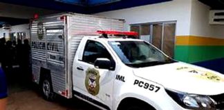 Homem morre esmagado após cavalo cair sobre ele em fazenda de Rondônia