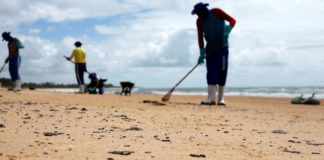 Mais de 525 toneladas de resíduos foram retiradas de praias com óleo