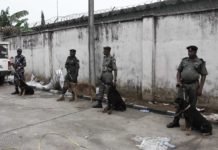 Mais de 250 escravos libertados de centro de detenção ilegal na Nigéria