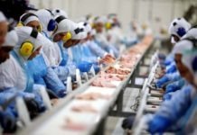 Arábia Saudita habilita oito novos frigoríficos brasileiros