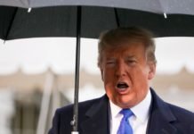 Trump ironiza ativista do clima Greta Thunberg: ‘Calma Greta, calma’