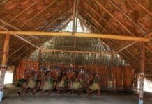 Amazonas sedia casamento coletivo indígena com mais de 800 casais