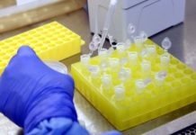 Cientistas identificam proteína que transporta o novo coronavírus