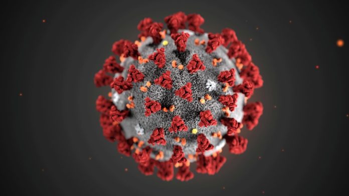 coronavirus-4-