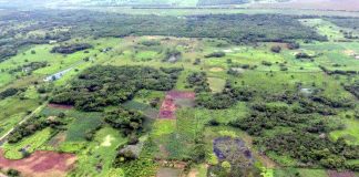 Mais antiga estrutura de civilização maia é encontrada no México