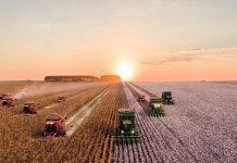 Agronegócio ajudou a segurar PIB durante a pandemia