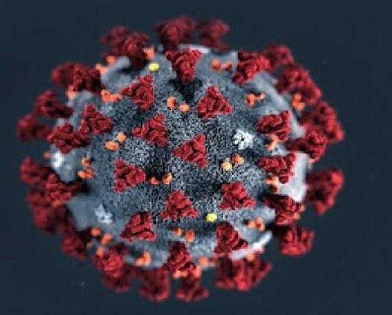 coronavirus
