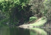 Quatro afogamentos são registrados em Rondônia no fim de semana