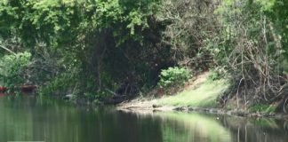 Quatro afogamentos são registrados em Rondônia no fim de semana