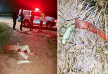Polícia encontra homem morto com cabeça desfigurada a pedradas