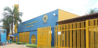 Viveiro das letras: Biblioteca promove live sobre perspectivas para o futuro
