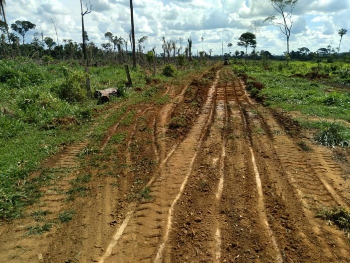 travesao