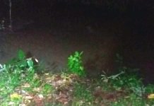 TRAGÉDIA: Idoso morre afogado e mulher sem saber nadar pula em rio