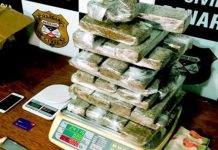 Denarc apreende quase 25 Kg de maconha em boca de fumo