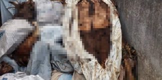 Ossadas e corpos em decomposição são encontrados em cemitério a céu aberto