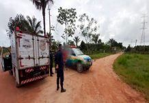 Trabalhador é executado a tiros pelo colega de trabalho em fazenda