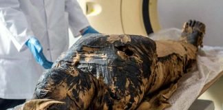 Pela primeira vez, pesquisadores descobrem múmia egípcia grávida