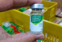 Vacina contra Influenza H1N1 para grupos prioritários encerra dia 09 de Julho
