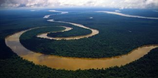 DECRETO: Governo cria programa para expandir telecomunicações na Amazônia