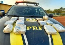 Mulher é flagrada em ônibus com mais de 12 quilos de cocaína