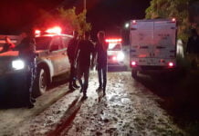 Homem é executado a tiros embaixo de árvore em distrito de Porto Velho