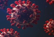 EM 24H: Rondônia registra 221 novos casos e três óbitos por covid-19