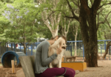 ATERRORIZADOS: Entenda por que fogos de artifício assustam cachorros e gatos