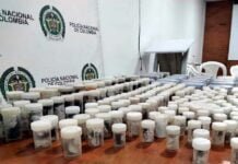 Colômbia apreende milhares de aracnídeos com destino à Europa