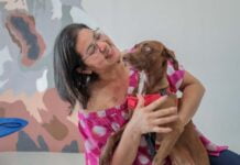Proprietárias de animais domésticos incentivam a procura por serviço de castração gratuita