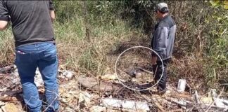 Crânio humano é encontrado em fogueira às margens da BR-364