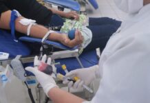 Fhemeron vai promover coletas de sangue nos municípios de Parecis e Alta Floresta do Oeste no final de semana