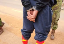 Passageiro de ônibus é preso com cocaína amarrada ao corpo na BR-425