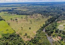 Prazo para a declaração do ITR de 2022 termina dia 30 de setembro; propriedades rurais de até 100 hectares estão isentas