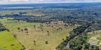 Prazo para a declaração do ITR de 2022 termina dia 30 de setembro; propriedades rurais de até 100 hectares estão isentas
