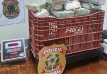 Polícia Federal prende casal que enviou 45,20 kg de cocaína por meio de veículo transportado por caminhão “cegonheira”